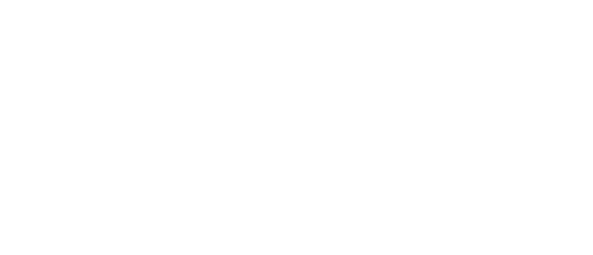 Lifeline South Coast Logo